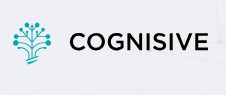 Cognisive Cricket Club