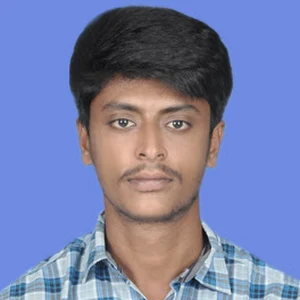 Dheenadhayalan S